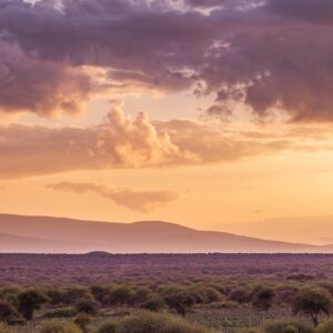 mount kilimanjaro, mountain, mount-7287226.jpg