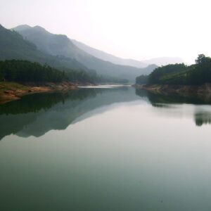 munnar, kerala, nature-7645637.jpg