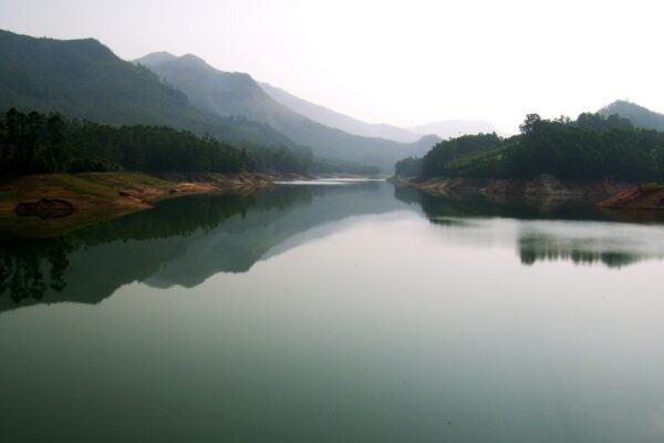 munnar, kerala, nature-7645637.jpg