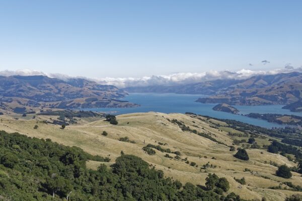 new zealand, banks peninsula, peninsula-4831595.jpg