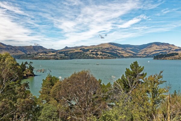 new zealand, corsair bay, bay-4826679.jpg