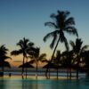 palm trees, holiday, paradise-2512497.jpg