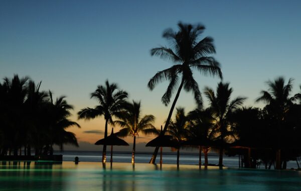 palm trees, holiday, paradise-2512497.jpg