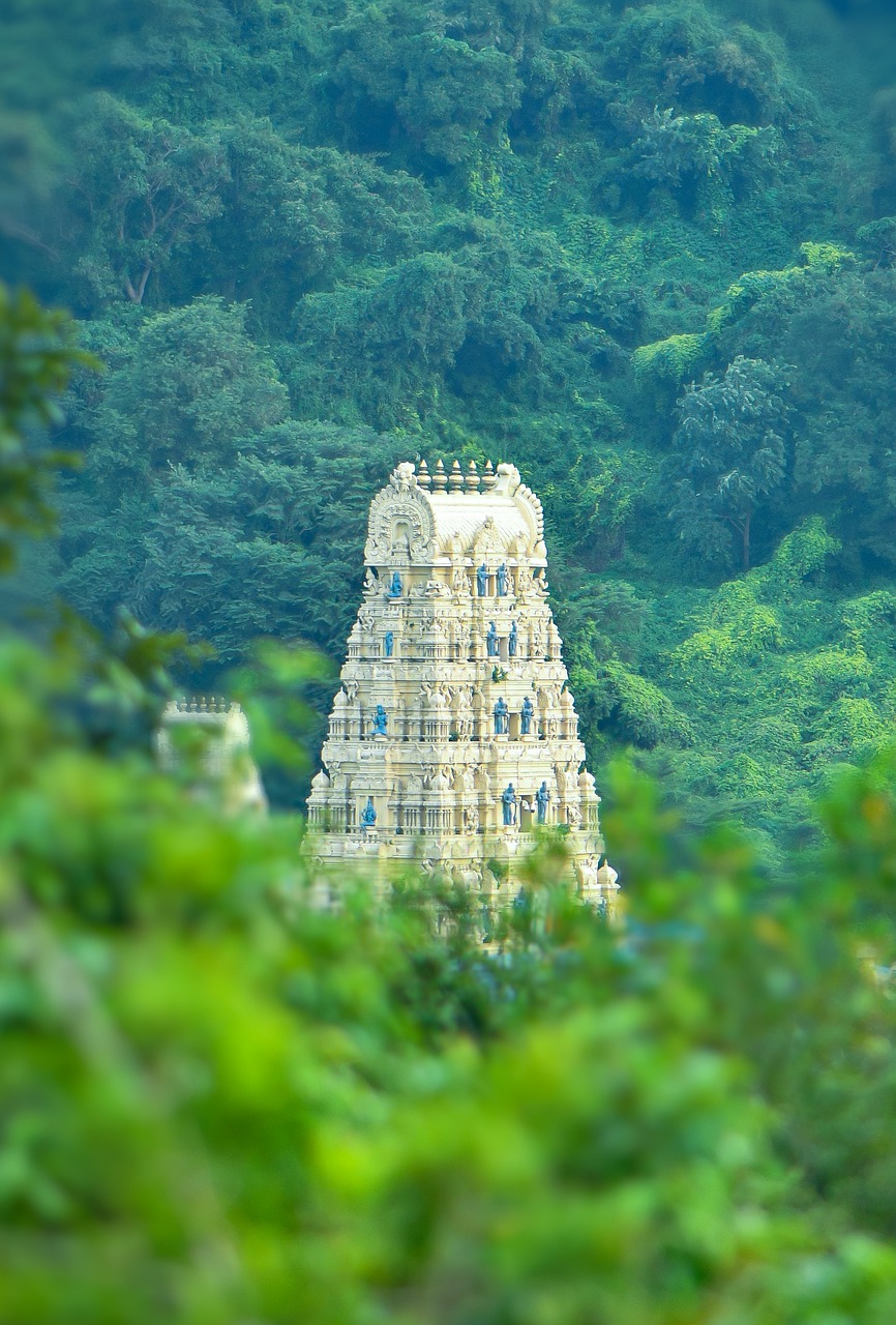 temple, forest, visakhapatnam-7614348.jpg