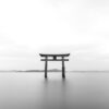 tori, japanese, shrine-1976609.jpg