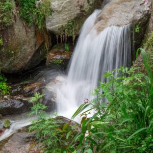 water falls, darjeeling, hill station-4976213.jpg