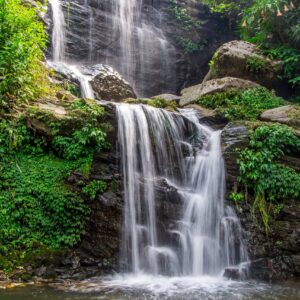 water falls, darjeeling, hill station-4976216.jpg