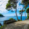 cavtat, croatia, hrvatska-993380.jpg