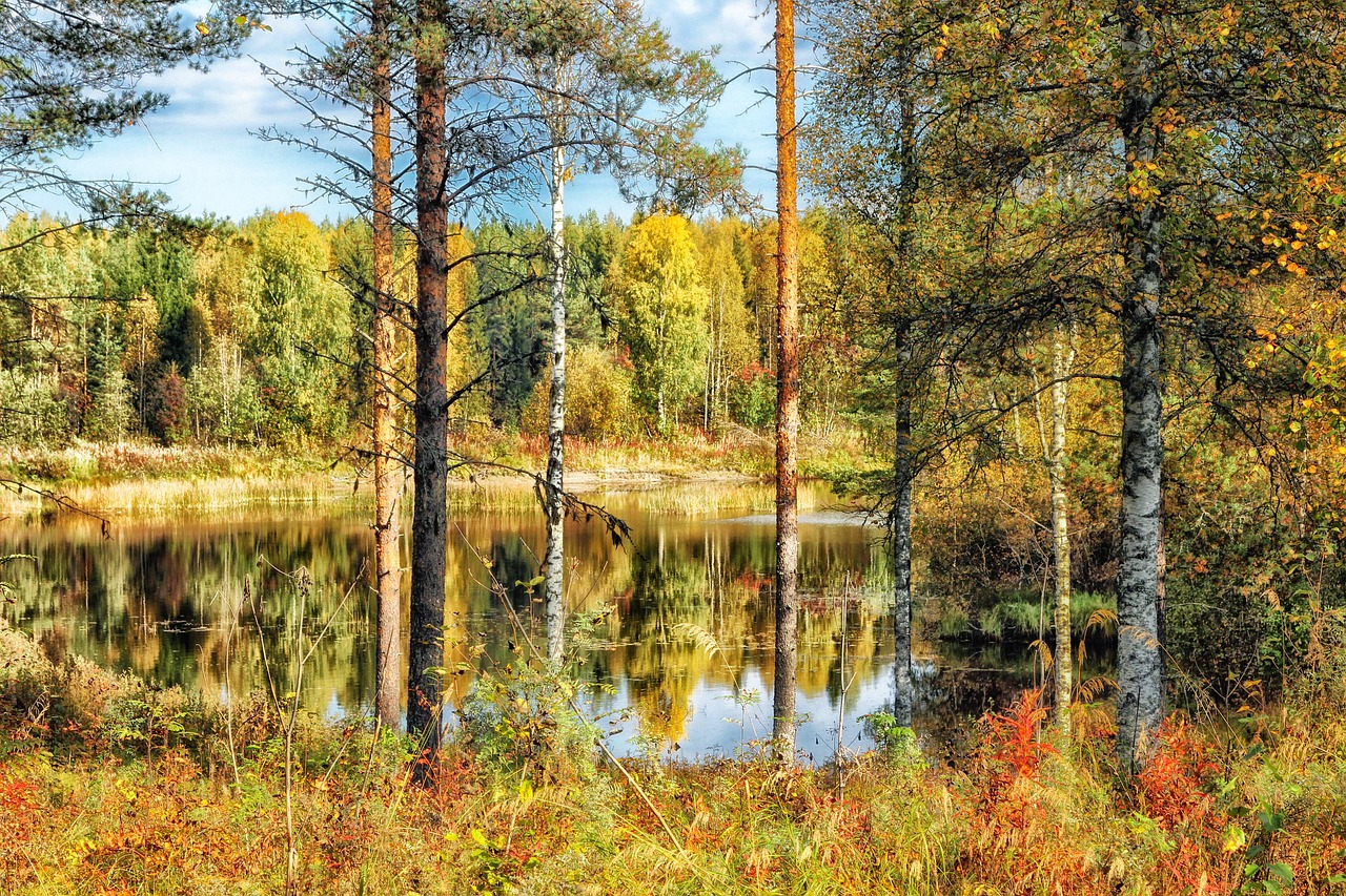 finland, hdr, pond-185853.jpg