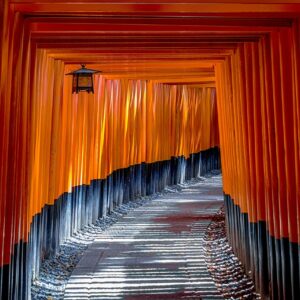 fushimi inari shrine, torii, temple-1886975.jpg