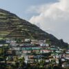 ooty, tamilnadu, india-3882538.jpg