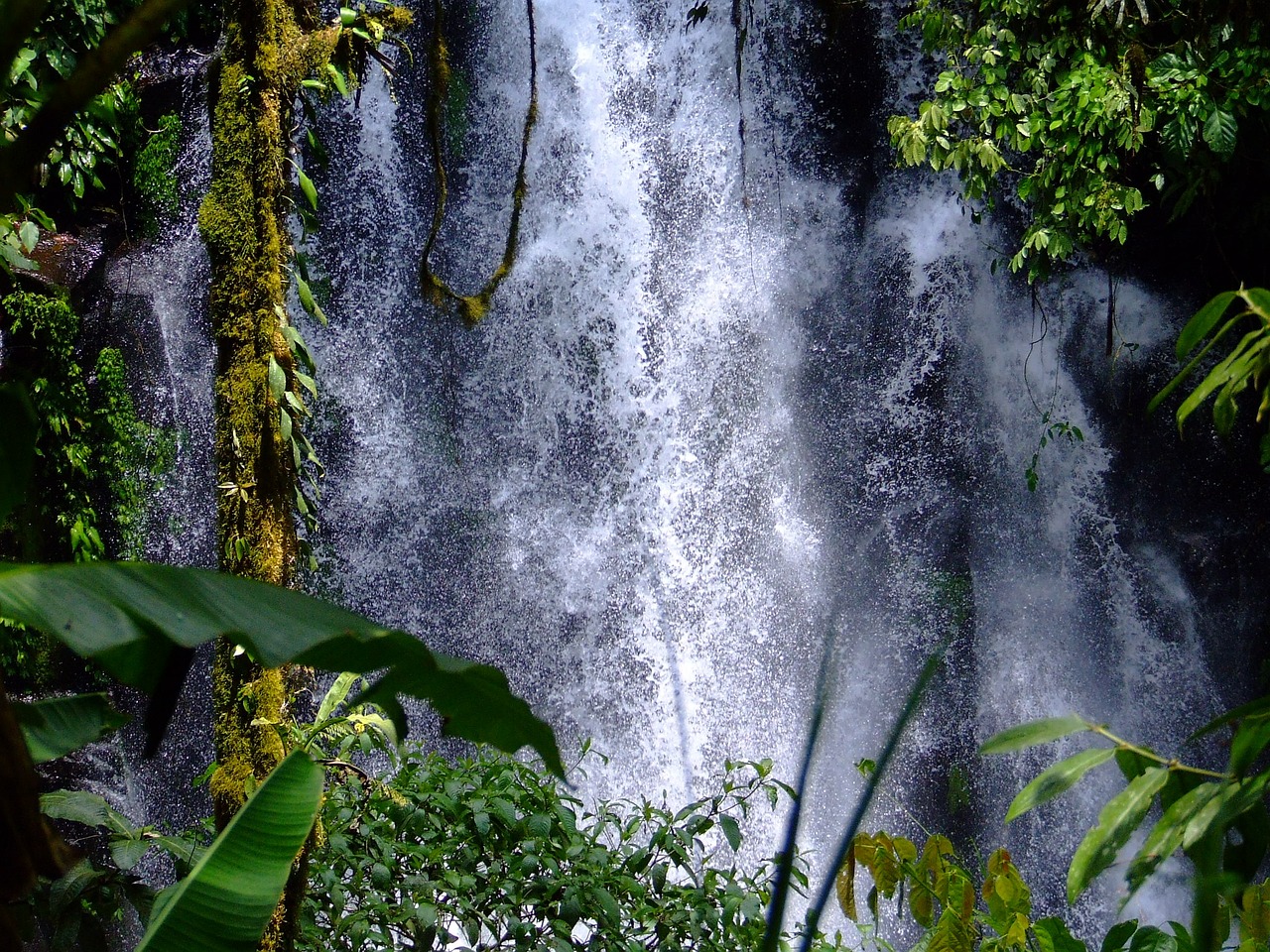 waterfalls, cedar, philippines-916567.jpg